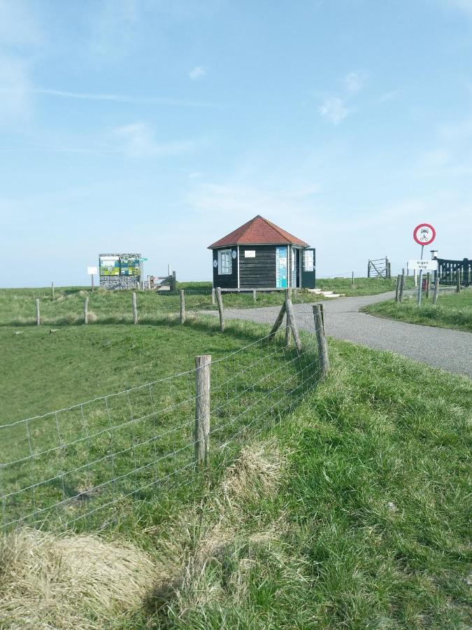 Zeeuwse Zot Bed and Breakfast Wissenkerke Exteriör bild
